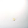 Hosties blanches 30mm (250)