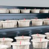 Carton de 400 eilleuses en papier