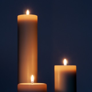 Souche Candelis 60/250