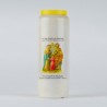 Carton 20 neuvaines Sainte Famille