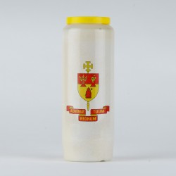 Carton 20 neuvaines SC Jésus