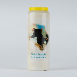 Carton 20 neuvaines SC Jésus