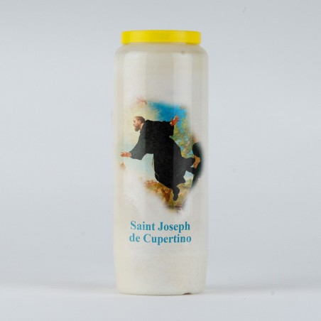 Carton 20 neuvaines SC Jésus