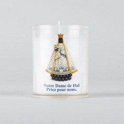Carton 60 V. n°36 Notre Dame de Hal