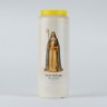 Carton 20 neuvaines Ste Gertrude
